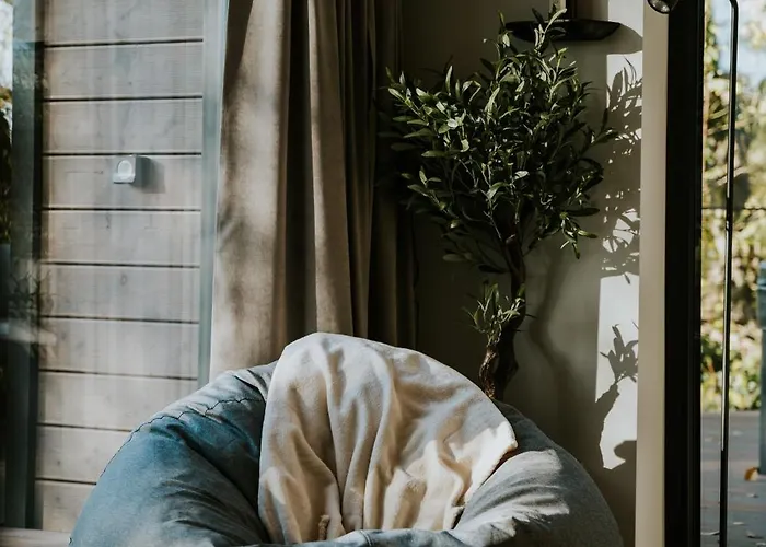 Forest * Bárdudvarnok